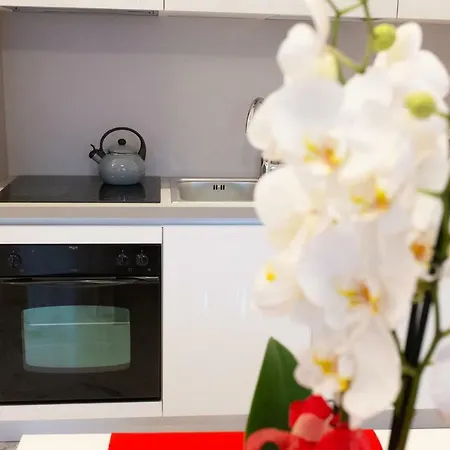 Appartamento Residenza San Rocco *